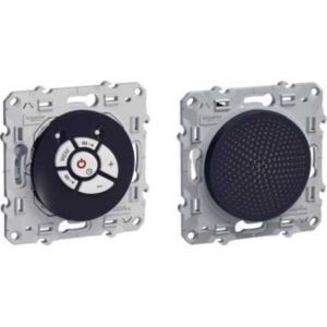 Schneider Odace Pack Radio Fm Mono + Haut-parleur Anthracite (2 Produits)