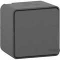 Bouton Poussoir Gris Mureva Styl Schneider Electric - En Saillie - IP55 - IK08 - Connexion Automatique