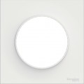 Plaque Blanche 1 Poste Odace Styl Schneider