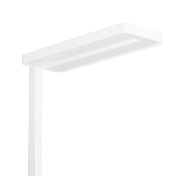 Surface & suspended