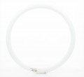 Tube fluorescent Circline Philips 40W / 33-640