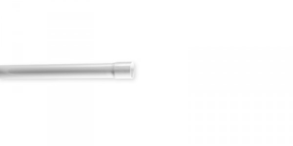 Tube irl tulipe 3321