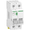 Interrupteur-Sectionneur 2P 63 A Resi9 XP Schneider Electric