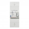 Disjoncteur de branchement EDF - différentiel 500 mA - instantané - 2P - 45 A