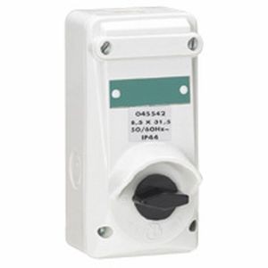 Interrupteur ML - 10 A - IP 44 - 250 V~ - Bipolaire avec coupe circuit - plastique - Legrand - 045542