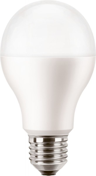 Bulbs - b-brand & pl