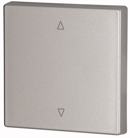 Bouton à bascule, simple, couleur argent, flèches (CWIZ-01/23)
