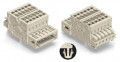 Combi male 2c 3.5mm/12p/cc/a/pied/fi