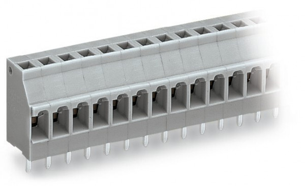 Barr borne ci 5mm 4 p/1 br/gr cl's' - Wago - 740104/000021