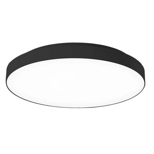Disc