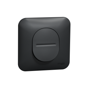 Ovalis - interrupteur va et vient - 10ax - anthracite