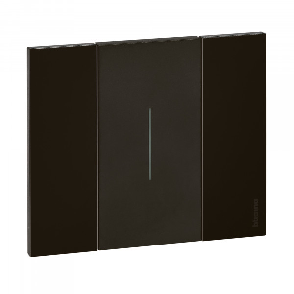 Va-et-Vient Noir 10 A 230 V Living Now Bticino Cofrel – 2 Modules