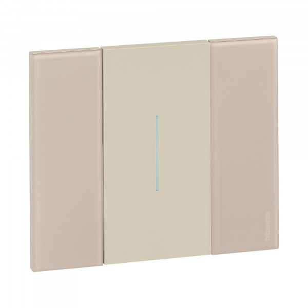 Va-et-Vient Noir 10 A 230 V Living Now Bticino Cofrel – 2 Modules