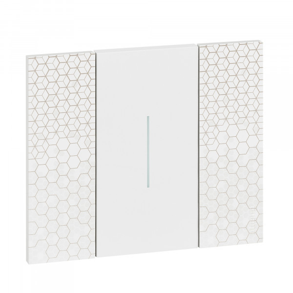 Va-et-Vient Noir 10 A 230 V Living Now Bticino Cofrel – 2 Modules