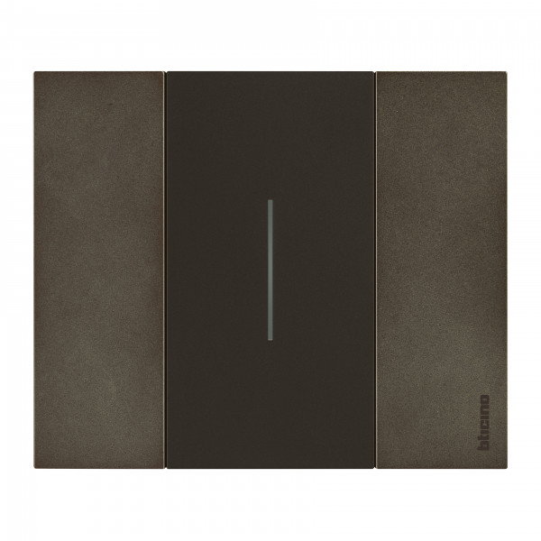 Enjoliveur Living Now pour commande d'éclairage standard ou lumineuse 2 modules - noir mat