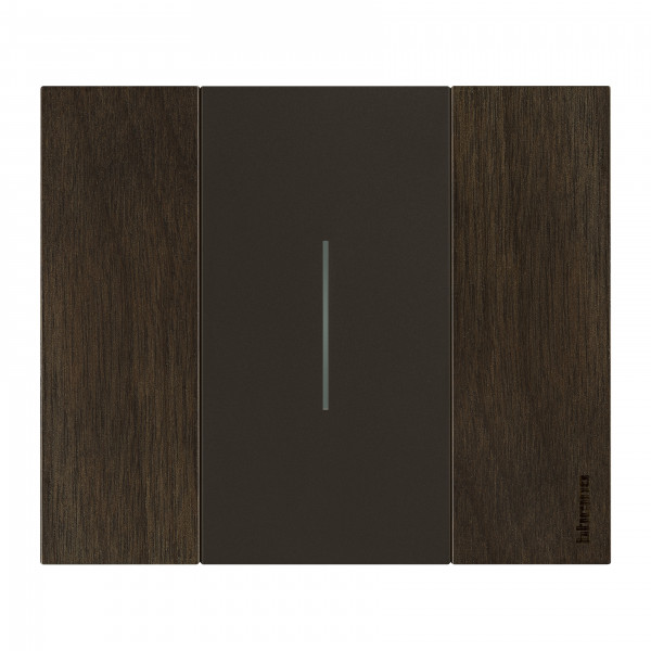 Enjoliveur Living Now pour commande d'éclairage standard ou lumineuse 2 modules - noir mat