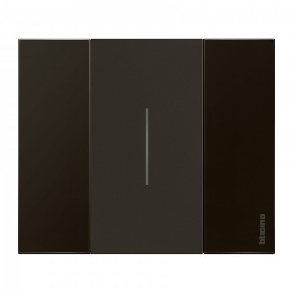 Enjoliveur Living Now pour commande d'éclairage standard ou lumineuse 2 modules - noir mat