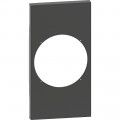 Plastron de Finition Noir Mat 2 Modules pour Prise Connectée Living Now With Netatmo