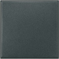 Obturateur Axolute Bticino - 2 modules - anthracite