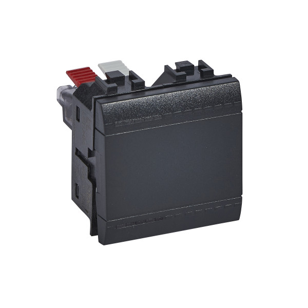 Va-et-vient anthracite Bticino Livinglight 16AX 250VAC 2 modules