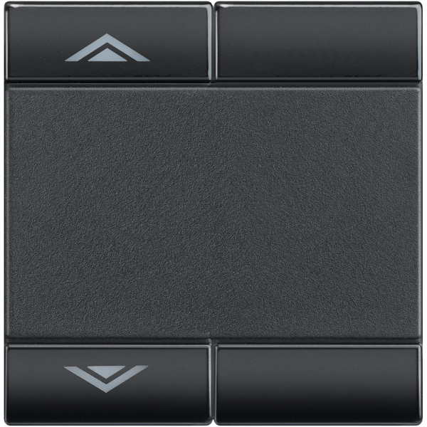Manette bascule symbole HAUT - BAS 2 modules - LivingLight Anthracite