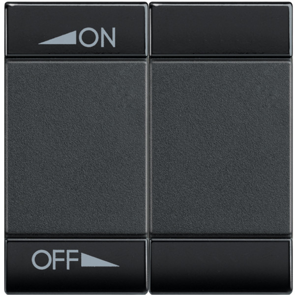 Manette bascule symbole ON variation - OFF variation 2 modules - LivingLight Anthracite