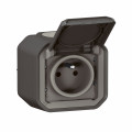 Prise de courant 2P+T étanche Plexo Legrand 16A 250V IP55 IK08 livrée complète pour fixation saillie - anthracite
