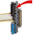 LEG004811