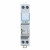 LEG005822