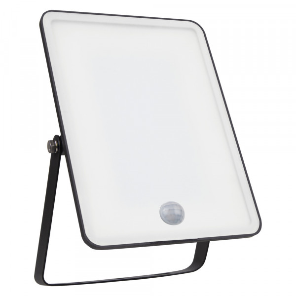 Fl essential 50w/865 s bk ip65