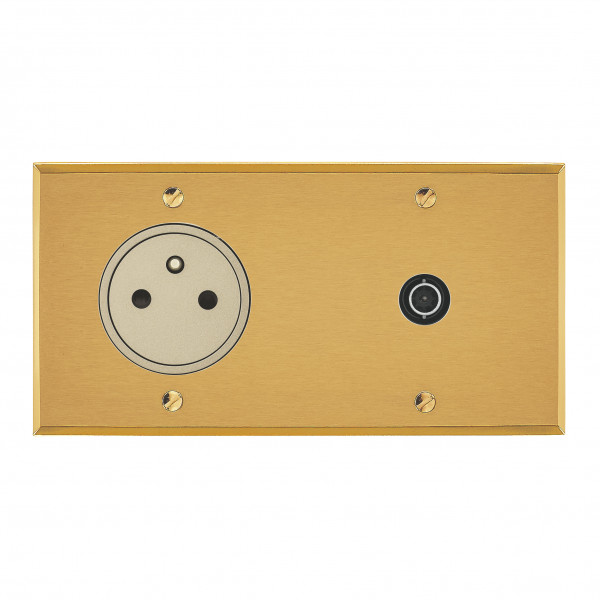 Prise de courant 2p+T + TV grand carré double horizontal Arnould ART mémoire or brossé