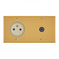 Prise de courant 2p+T + TV grand carré double horizontal Arnould ART mémoire or brossé