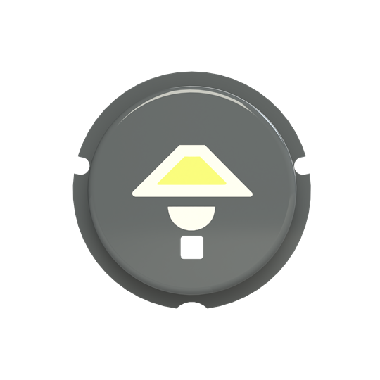 Free@home pictogramme avec symbole eclairage gris