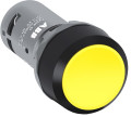 Pushbutton"cp1-10y-10