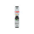 S300p-disjoncteur 1p-1a-courbe d-pdc 25000a-230vac 100ka-60vdc 25ka-1 module