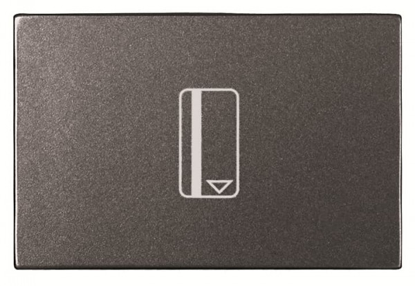 Zenit interrupteur a carte temporise anthracite