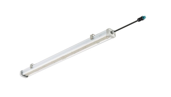 Pacific led performer
