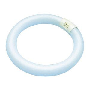 Tube Fluorescent G10Q Orbitec Circline 22W 6500K