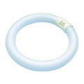 Tube Fluorescent G10Q Orbitec Circline 22W 6500K