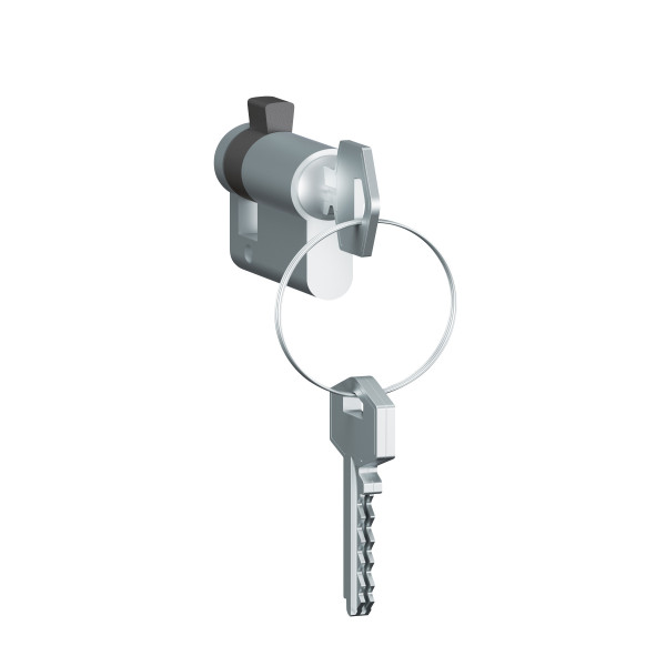 Barillet européen Legrand - avec 3 clés - Aluminium - IP20 - IK07