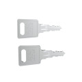 Lot de 2 Clés Code FH167 RAL 7016 pour Porte et Panneaux Latéraux Baie Linkeo Legrand