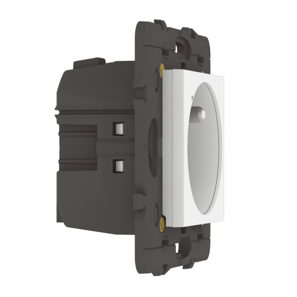Prise de courant Connectée Mosaic With Netatmo 16A avec Suivi de Consommation - Compatible App Home + Control