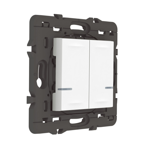 Commande Double Sans Fil Mosaic With Netatmo, Éclairage/Prise, Blanc