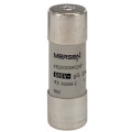 Cartouche fusible Mersen type gG 25A avec percuteur 22x58 mm 690V