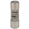 Cartouche fusible Mersen type gG 20A avec percuteur 22x58 mm 690V