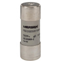 Cartouche fusible Mersen type gG 100A avec percuteur 22x58 mm 500V
