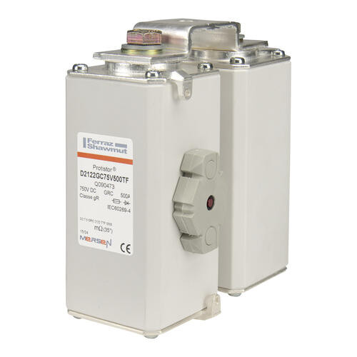 Fusible 2 x 123 gr 1000a - indicateur - 750 vdc protistor
