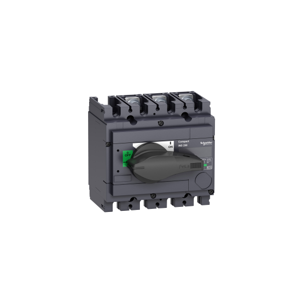 Schneider Electric Interrupteur sectionneur Interpact Ins250 3P 100 A