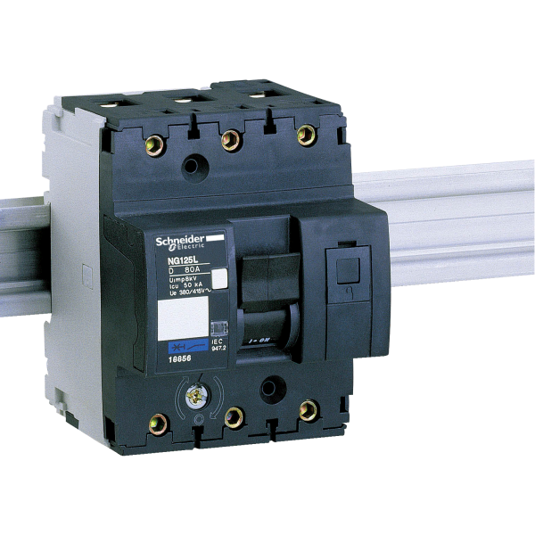 Schneider Electric Disjoncteur Modulaire Multi 9 Ng125L 3 Pôles 80 A Courbe D