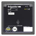 Schneider Electric Vigirex Rh10P 12-24Vac/12-48Vcc Sensibilité 0,3A - Instantané
